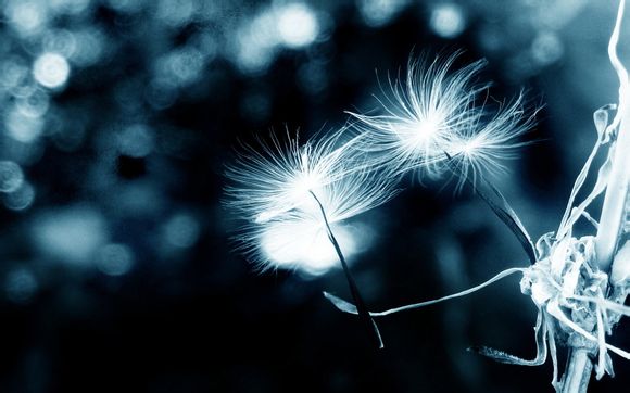 广州流花湖公园可以钓鱼吗