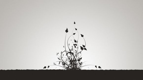 开封景区门票价格