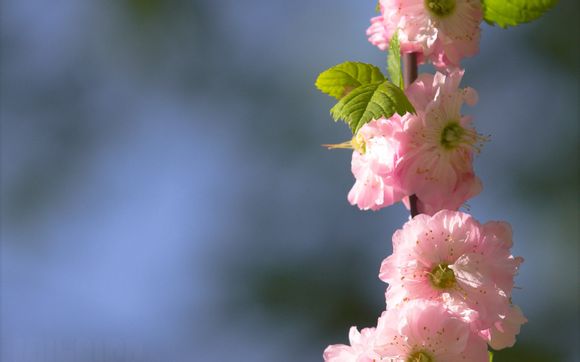 广州星海音乐厅演出表