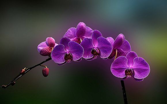 蟒山海拔多少米